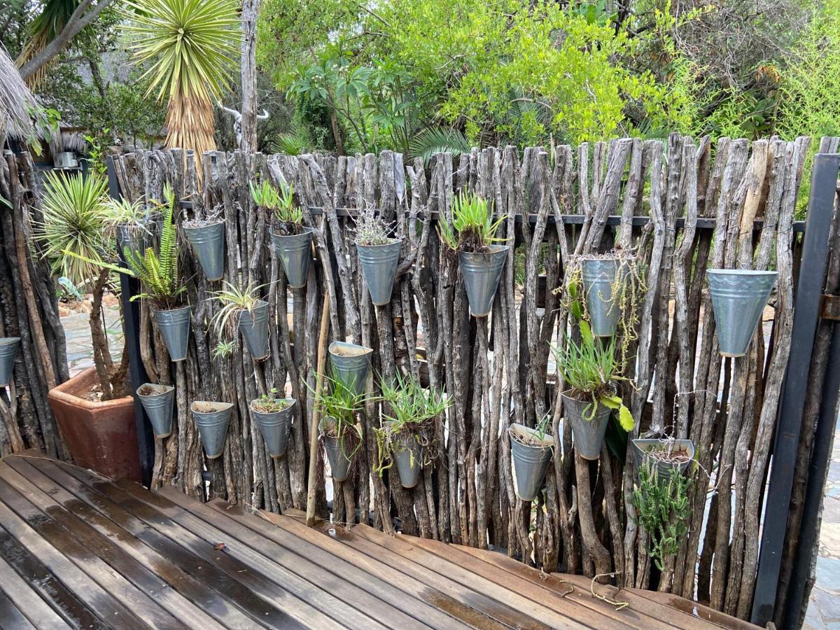 Hippomoon Lodge Game Reserve Hoedspruit Exterior photo